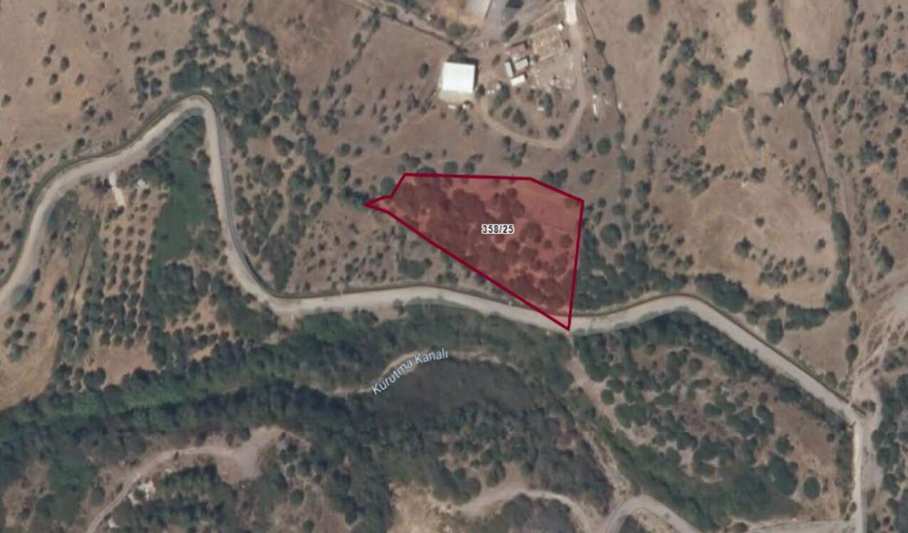 Muğla’da 6 Arsa İhaleyle Satışa Çıkıyor: Bodrum ve Milas’ta Fiyatlar Belli Oldu 2
